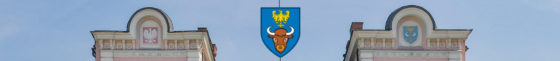 Tłumacz przysięgły Żywiec
