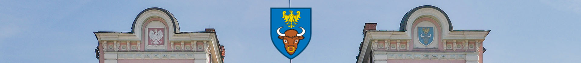 Tłumacz przysięgły Żywiec