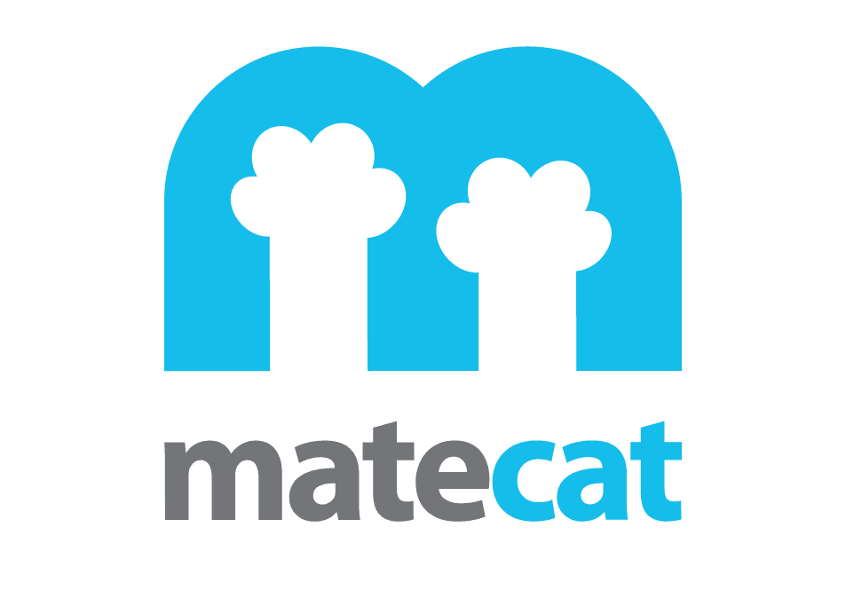 Matecat najlepszy darmowy program CAT dla tłumacza