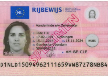 Holenderskie / Niderlandzkie prawo jazdy (tłumaczenie na polski)