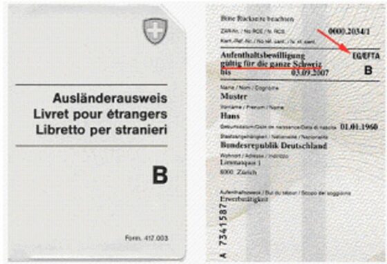 tłumaczenie szwajcarskiego pozwolenia na pobyt tymczasowy
