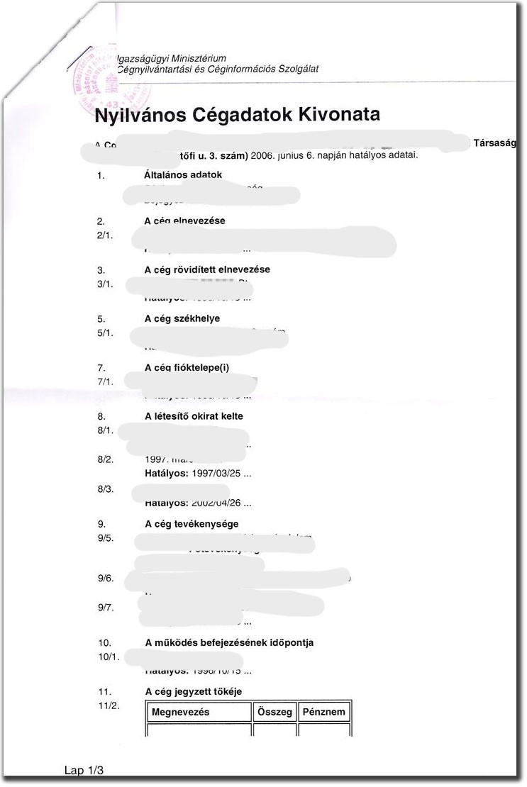 🇭🇺 Wyciąg z rejestru / KRS z Węgier – tłumaczenie przysięgłe na język polski