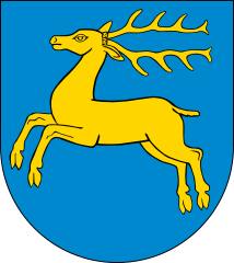 Biuro tłumaczeń kozienice